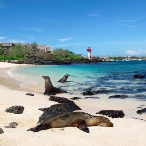 Tours Galápagos l Santa Cruz-Galápagos l 4 días l 2 Islas